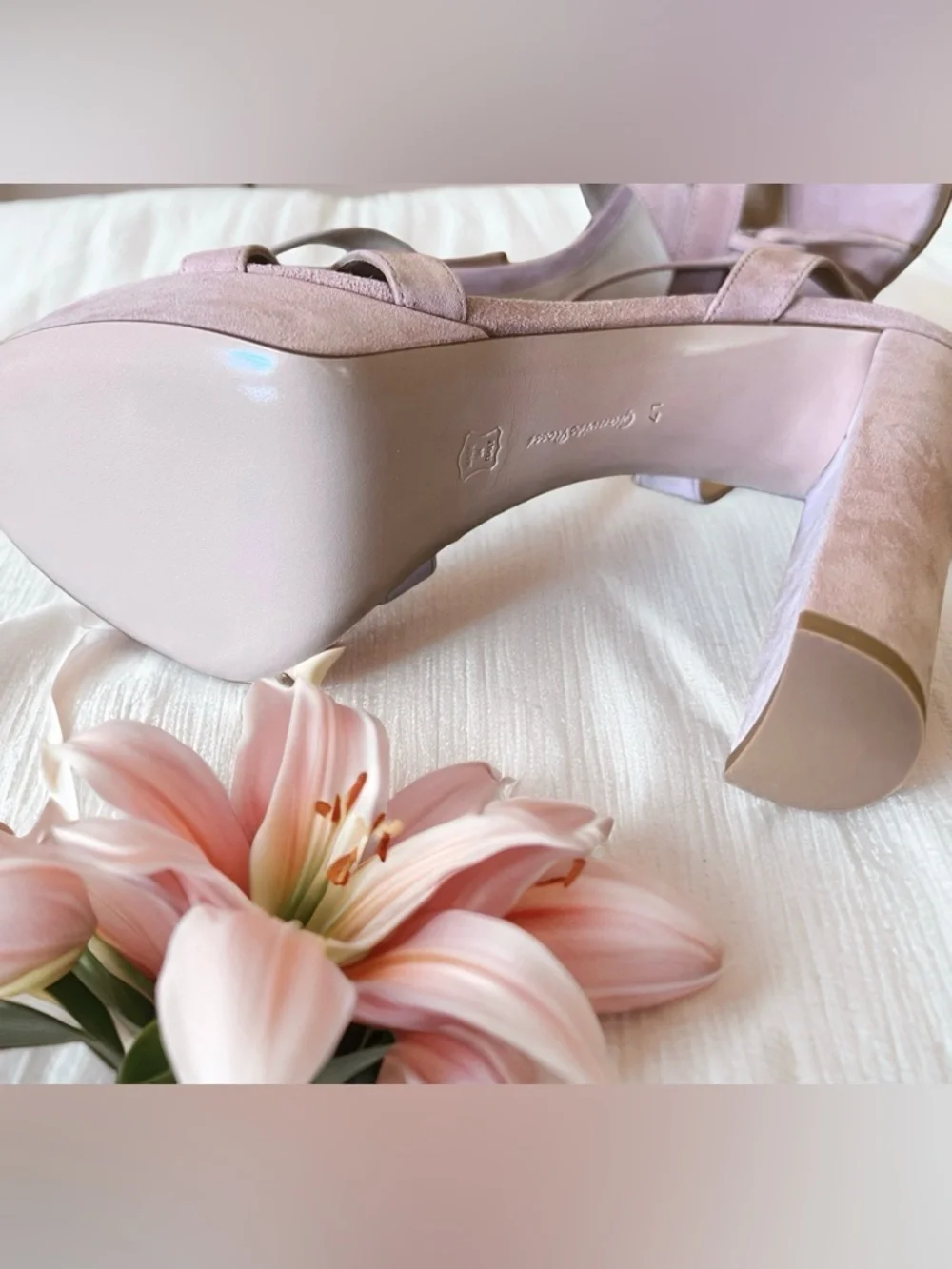 Gianvito Rossi Pink Platform Sandal in Dahlia Ballet Pink Suede